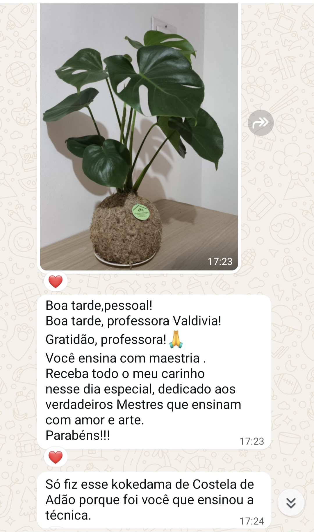 Depoimento aluna