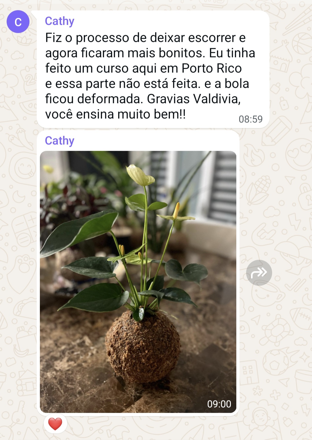 Depoimento aluna